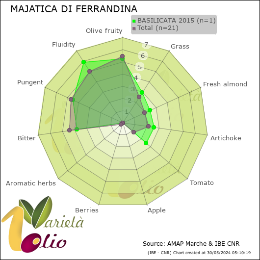 Profilo sensoriale medio della cultivar  BASILICATA 2015